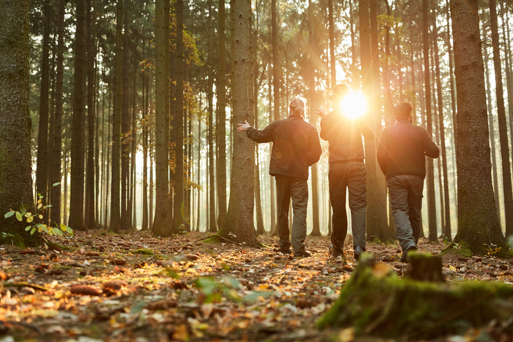 Three,Foresters,In,The,Woods,During,A,Walk,Or,Inspection