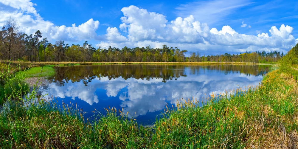 Mastbos,Forest,,Mastbos,Lake,,Mastbos,Natural,Reserve,,Breda,,Noord-brabant,Province,