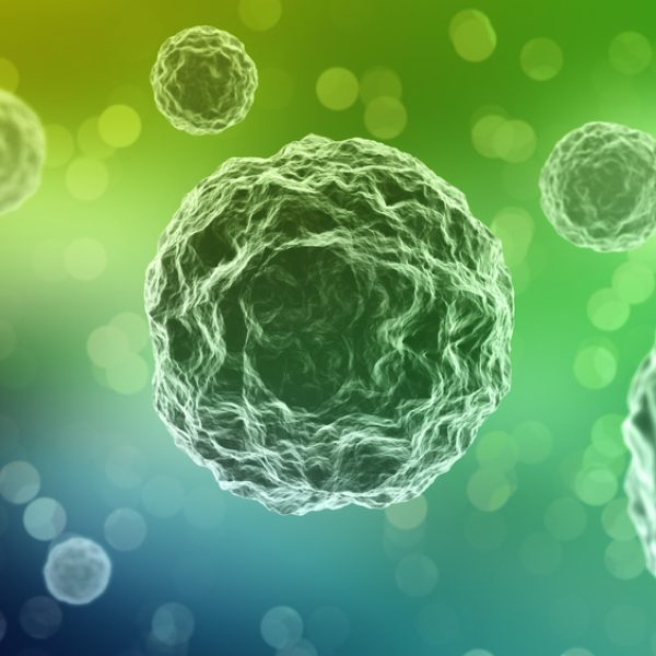 Single,Cell,Bacteria,-,The,Beginning,Of,Life,On,Earth